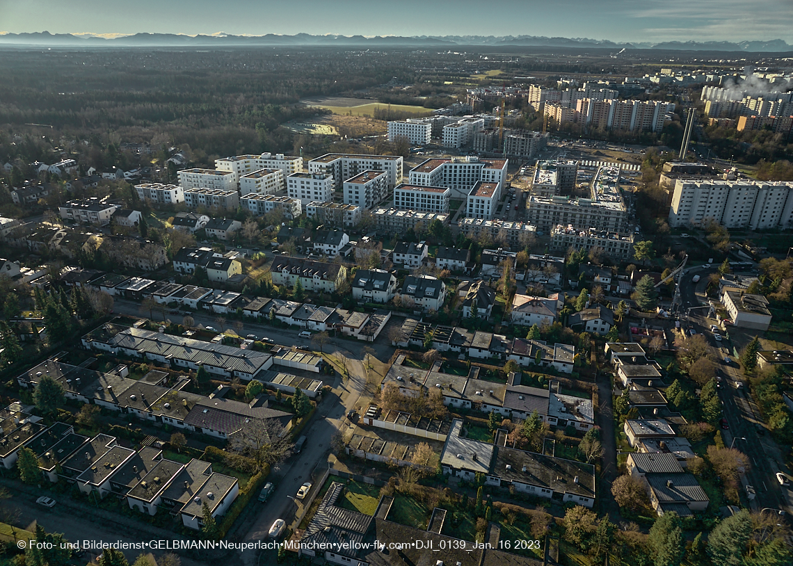 16.01.2023 - Alexisquartier und Pandion Verde